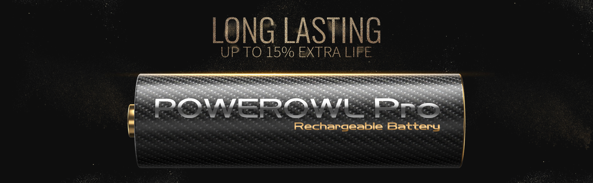 POWEROWL Goldtop Rechargeable AA Batteries PRO, High Capacity 2800mAh